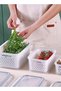 3PCS Fridge Food Storage Container Set with Lids（380ML-800ML-1700ML）, Plastic Fresh Produce Saver Vegetable Fruit Meat Storage Organization, BPA Free Kitchen Refrigerator Organizers Bins - 6