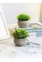 Mini Artificial Plants Set 2 Pcs Small Fake Plants for Office Kitchen Bathroom Bedroom Mantle Shelf Living Room Faux Plants in Pots Modern Farmhouse Plants Home Decor - 4