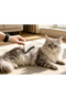 # Comb Cat Dog Massage Effective Stylish Grooming Metal Tip Stainless Steel Pet Hair Collection Comb - 5