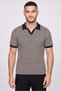 Men Regular Fit Short Sleeve Stripe Polo Shirt, Multicolor