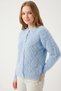 Women's Blue Stone Pearl Buttoned Feathered Cardigan - 2