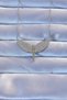 316L Steel Silver Color Zircon Stone Micail Necklace