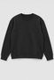 Men's Crew Neck Plain Anthracite Sweatshirt with Fleece Inside