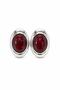 Rovena Oval Stone Detailed Steel Earrings - Burgundy