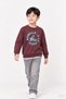 Boy's 2-Piece Hooded and Crew Neck Printed Winter Sweatshirt - 3