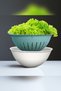 Colander with Bowl 3 L Multi-Purpose Storage and Straining Container for Vegetables, Fruits, Rice, Turquoise - 6