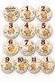 Teddy Bear Themed Baby Birth and Monthly Memory Cards 13 Piece Photo Shoot Set 10 cm Mdf Boxed - 7