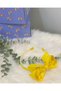 تاج أزرق سماوي - 6