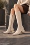 Collié Pointed Toe Side Zipper Heeled Women's Boots - 2