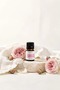 Rose Essential Oil - 100% Pure (2.5 ml) - 7