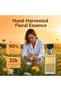 TG031 Forever 100ml 3.4FL.OZ Brand Series EAU DE PARFUM Perfume - 4