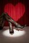 Women's Stiletto Pointed Toe Gold Detailed Classic Heeled Shoes Ginez Black - 6