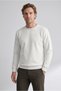 Crew Neck Regular Fit Embroidered Basic Thin Sweatshirt