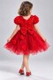 Rosali Lase Detail Girls Tutu Evening Dress M00803 Red - 2