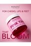 Pink Tint for Face, Cheeks and Foot 300g - Pack of 2 - 4