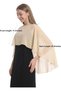 womens Chiffon Cape001 Pashmina Shawl - 5