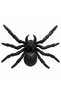 Halloween Black Spider Decoration with Red Eyes, 15CM