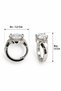 Steel Silver Design Zircon Stone 316L Stainless Steel Women Earrings - 3
