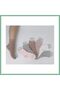 Girl's Socks 200564 (Price Is for One Piece) · Color: Assorted · Size: 5-6 Years Bsk2026