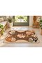 Eta Cat Pattern Modern Woven Base Decorative Carpet Eta4397 - 2