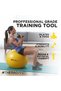 Exercise Ball, Professional Series Stability Ball with 75 cm Diameter for Athletes 6'2" to 6'8" Tall, Slow Deflate Fitness Ball for Improved Posture, Balance, Yoga, Pilates, Core, Blue - 4