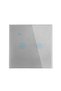 WiFi Smart Wall Light Switch,Compatible with Google Home & Alexa, Touch & App Remote Control, Timing