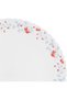 LARAH PENTAS OPAL DINNER PLATE - 4