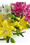 Lily 3pc Flower Stick with 9 buds – Yellow | 96cm Artificial - 4