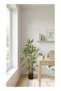 Bamboo 90cm (2.95ft) Artificial Tree with Pot | Floor Plant - 3