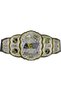Championship Belt