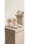Women's Cinar Pearl Dress Shoes with Heels for Bridal Wear - 2