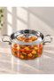 Borosilicate Glass Pot with Steel Handle 2.5 Lt