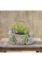 Mgo Bunny Duo 35.5X19X31Cm, Multicolour, Paired Bunny Gard