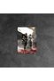 Expedition 33 Gaming Metal Poster - Magnetic Wall Art Print - 7
