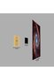 Spiral Galaxy NGC 1566 Movie Metal Poster - Magnetic Wall Art Print - 4