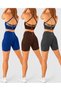 3-Pack Briza Seamless Scrunch High Waist Sports Shorts