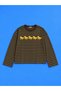 Wild Horses Yellow Horse Printed Green Brown Striped Oversize Long Sleeve T-Shirt - 5