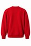 Unisex Relax Fit Comfortable Cut Three-Thread Fleece Crew Neck Sweatshirt - W238 - 7