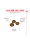 Fussy Cat Dry Food 2kg - 3