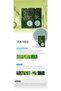 Korean Modeling Mask Pack TeaTree 5 PCS - 2