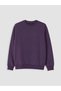 Özmarka New Season Purple Crew Neck Men's Thick Sweatshirt - 5