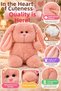 Pink Gluttonous Rabbit Plush Toy 26 cm Cute Chubby Rabbit with Soft Welsoft Fabric Sleeping Companion - 5