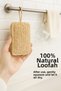 Natural Pumpkin Fiber Dish Sponge Set of 3 100% Natural Non-Scratch Durable - 3
