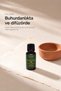 Protection & Purification Essential Oil Blend (10 ml) - 6