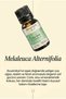 Tea Tree Essential Oil - 100% Pure (10 ml) - 3