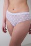 Cheeky Lilac Hipster Panties