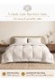 Single Comforter 4-Piece Set , Striped Microfiber Fabric, Soft and Durable Material, 160 x 200 cm - 2