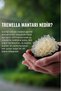 Tremella Extract Milk Toner 200 Ml- Bifida+ Niacinamide+Ceramide- Barrier Repairing and Soothing - 3