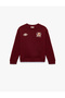 Three-Thread Ribbed Long Sleeve Crew Neck Teddy Bear Printed Sweatshirt - 4