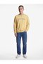 Comfortable Fit Long Sleeve Three Yarns Crew Neck Cotton Printed Sweatshirt